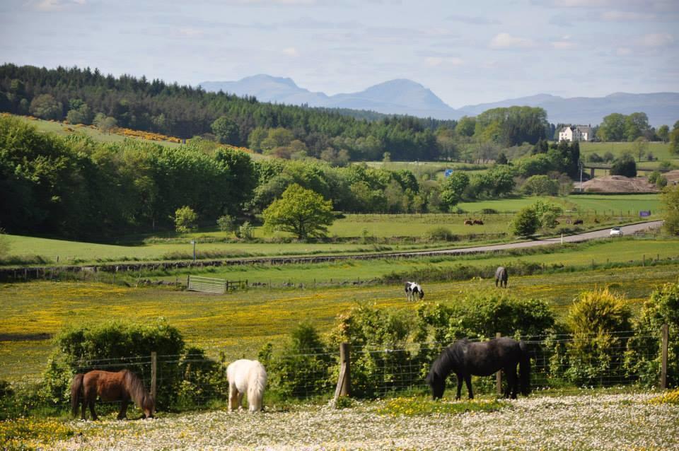 Wellsfield Farm Holiday Lodges Stirling Dış mekan fotoğraf